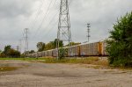 Autoracks train in the yard